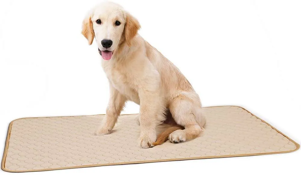 2 Pack Pee Pads for Mat,Bed/Dog Car Mat 4 Layers Design