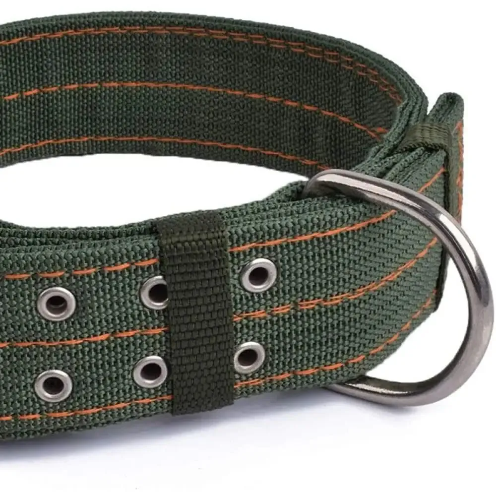 2-row Durable Adjustable Comfortable Metal Buckle Pet Collar for Medium, Big Dogs