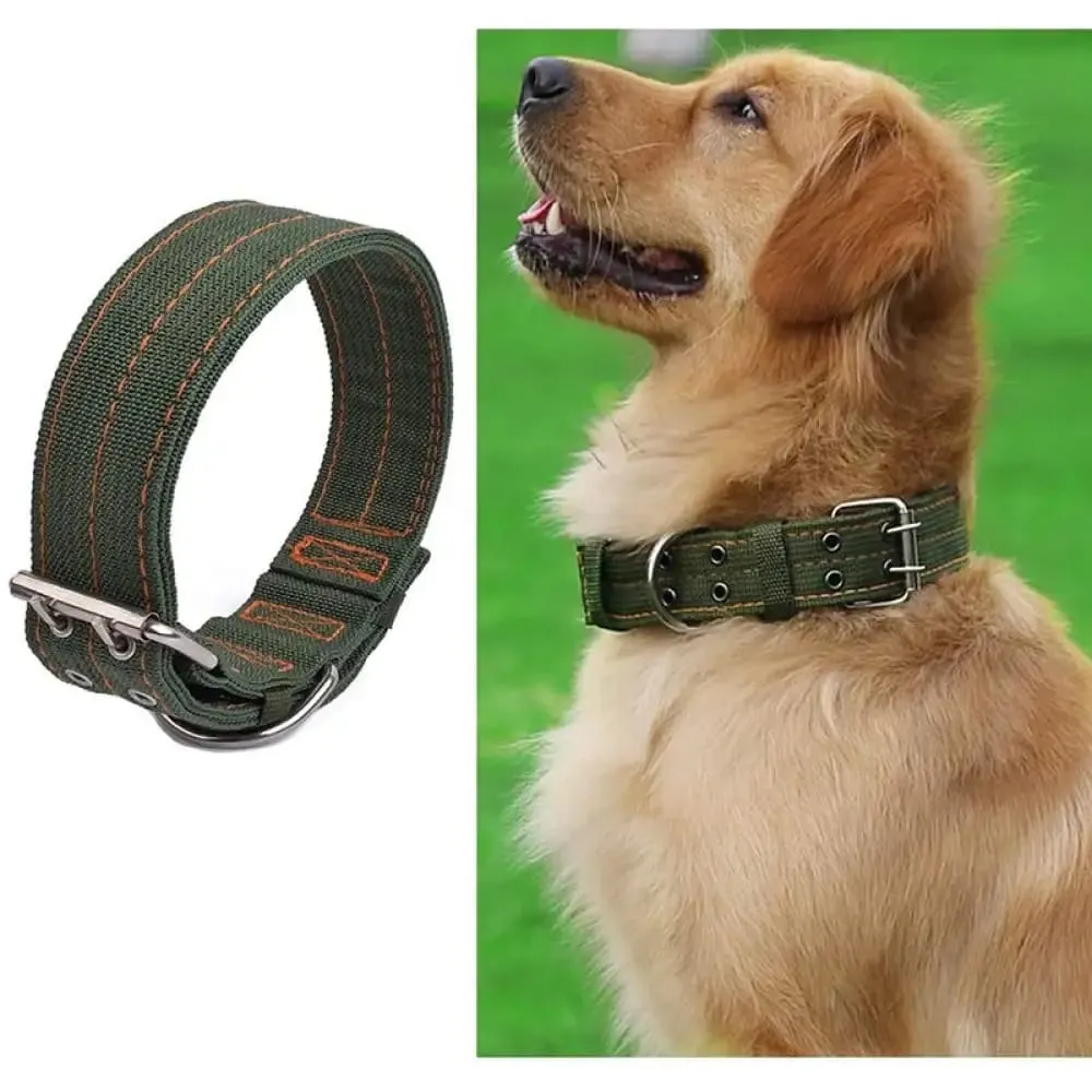 2-row Durable Adjustable Comfortable Metal Buckle Pet Collar for Medium, Big Dogs
