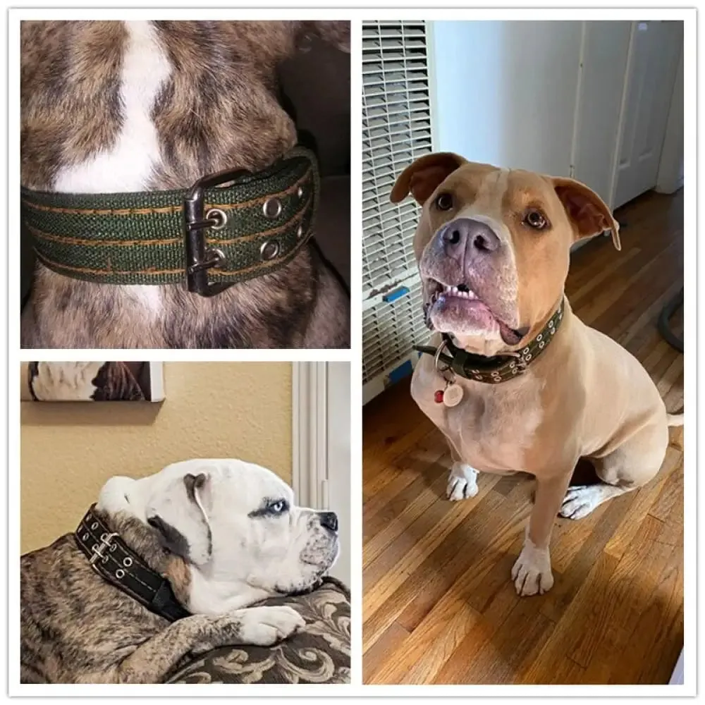 2-row Durable Adjustable Comfortable Metal Buckle Pet Collar for Medium, Big Dogs