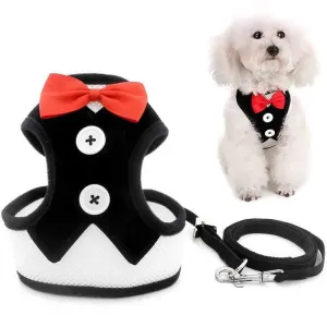 Adjustable Easy Control Breathable no Pull Bowtie Harness and Leash Set for Dog, Cat