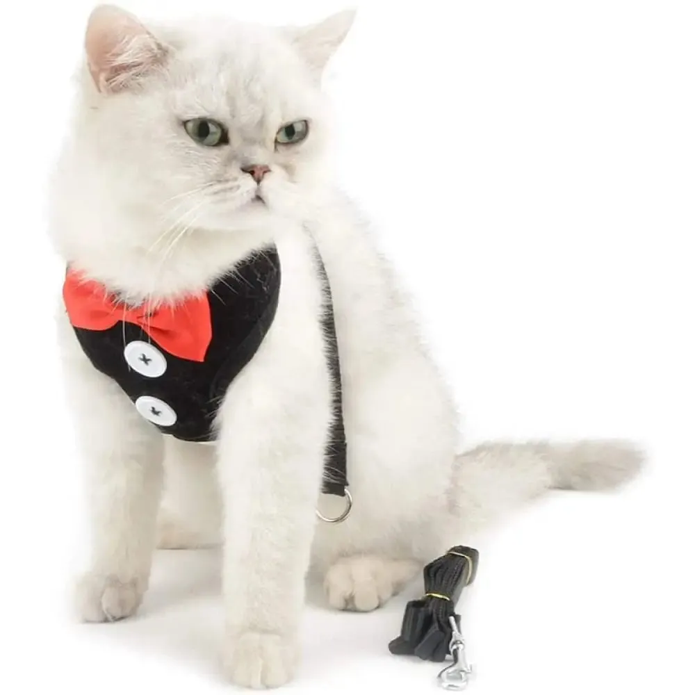 Adjustable Easy Control Breathable no Pull Bowtie Harness and Leash Set for Dog, Cat