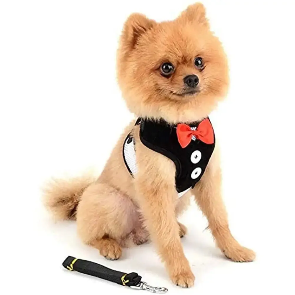 Adjustable Easy Control Breathable no Pull Bowtie Harness and Leash Set for Dog, Cat