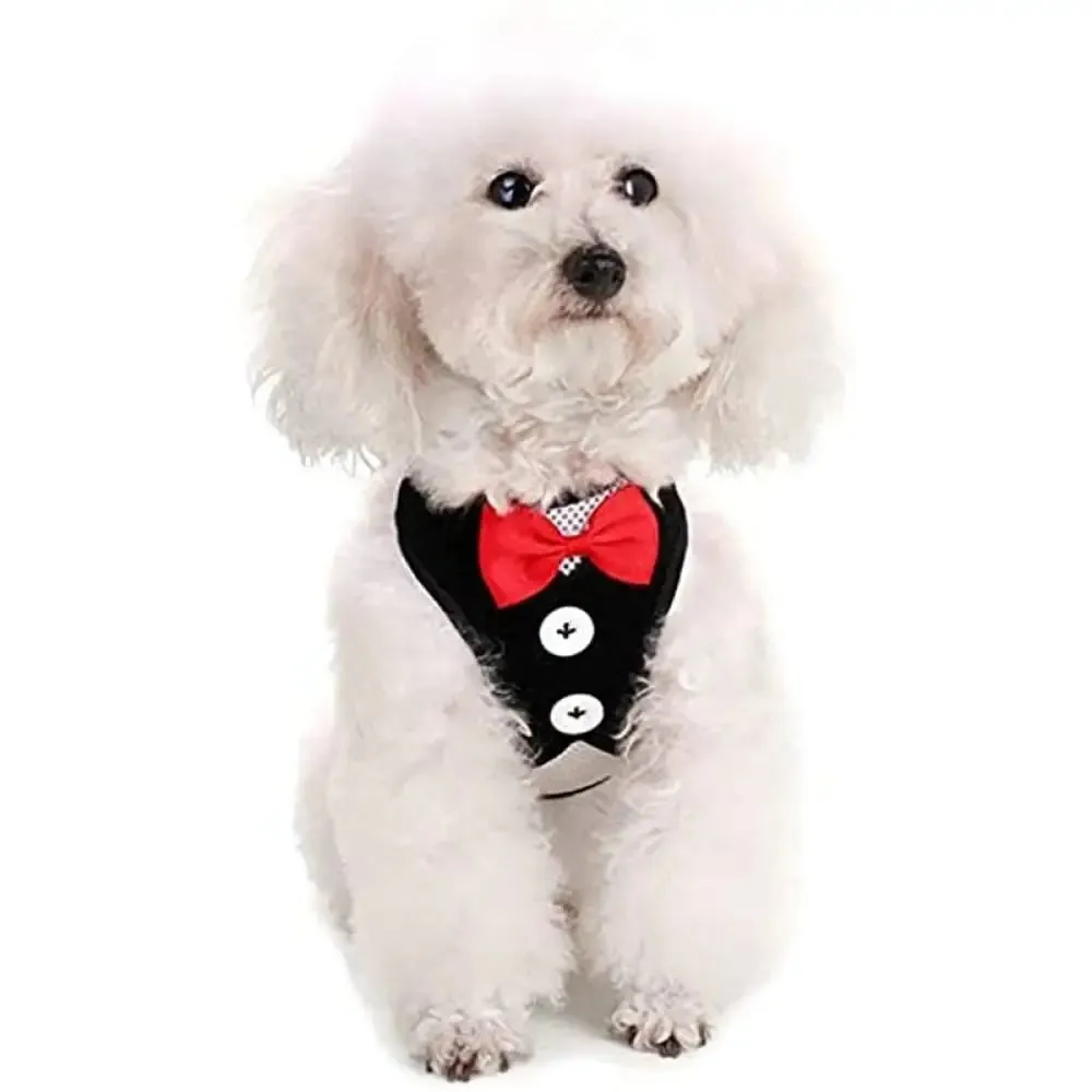 Adjustable Easy Control Breathable no Pull Bowtie Harness and Leash Set for Dog, Cat