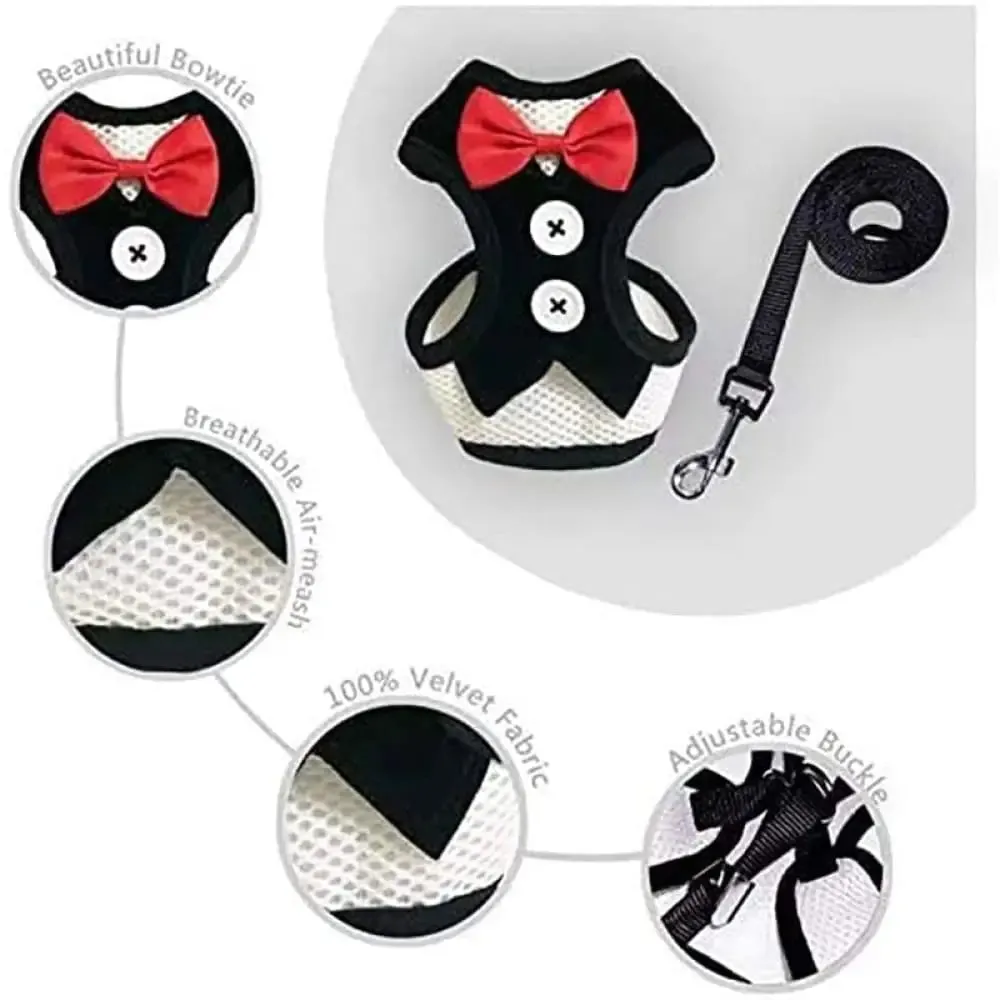 Adjustable Easy Control Breathable no Pull Bowtie Harness and Leash Set for Dog, Cat