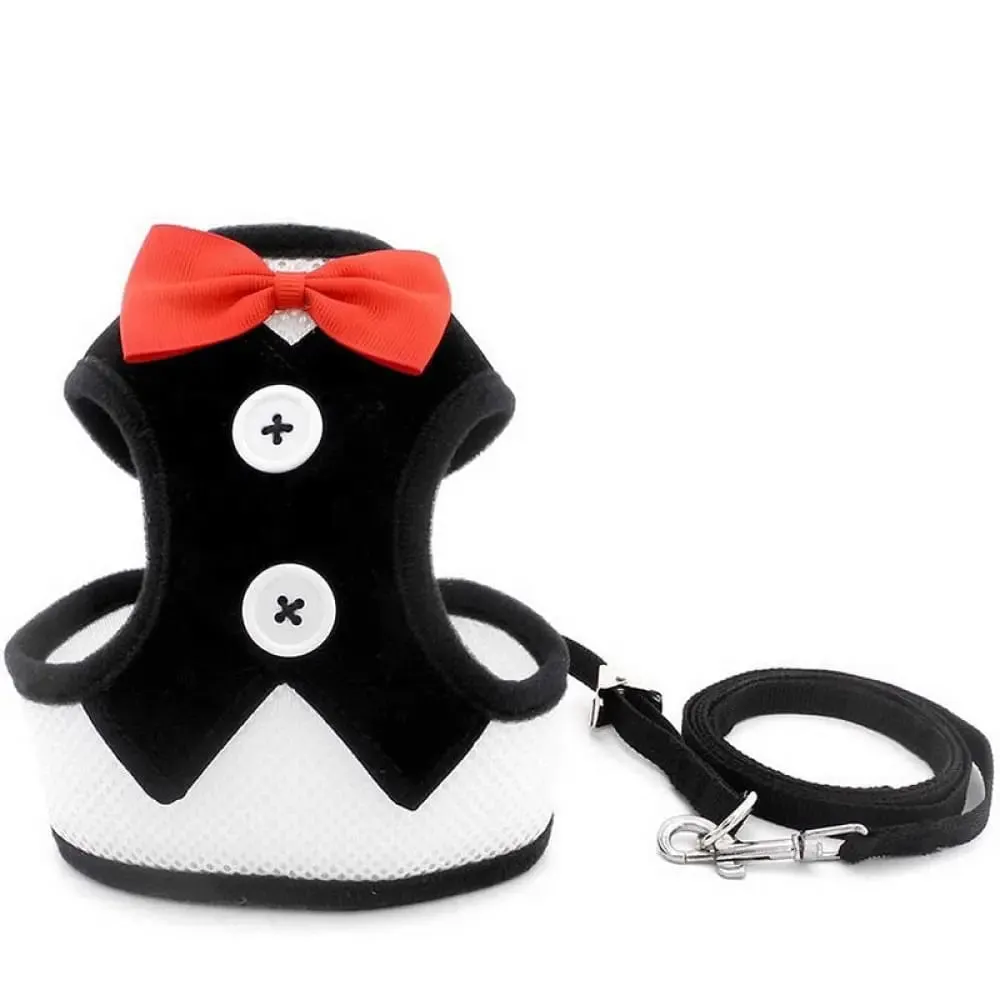 Adjustable Easy Control Breathable no Pull Bowtie Harness and Leash Set for Dog, Cat
