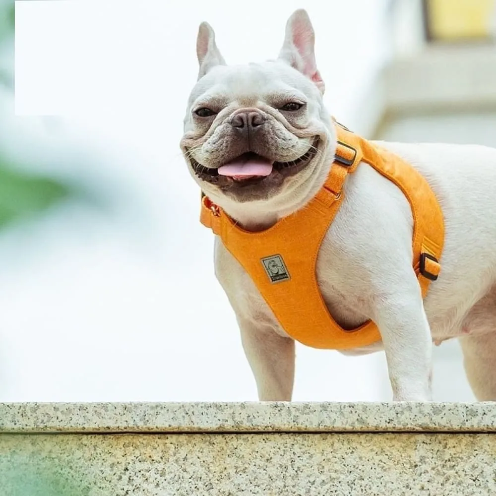 Adjustable Eco-friendly Recycled Pet Harness