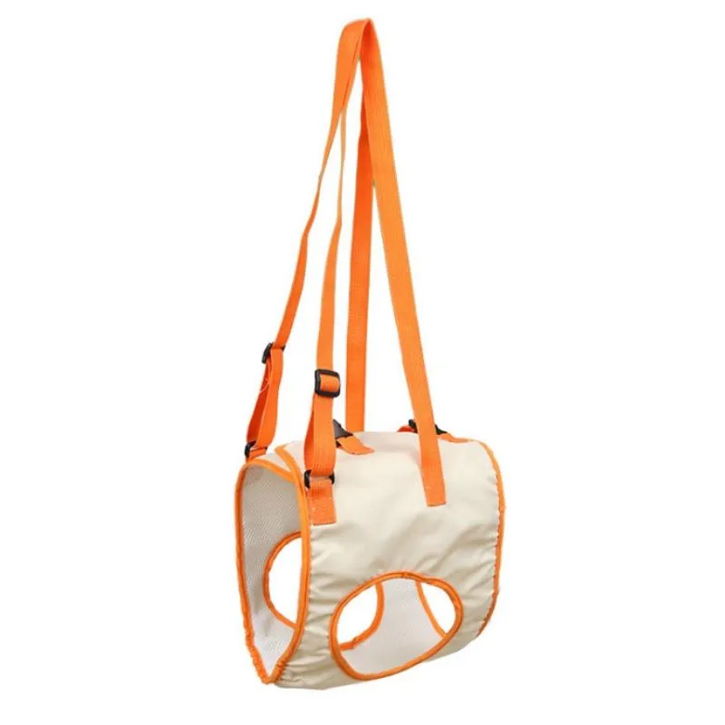 Assistive Pet Leash Belt For Elderly Dogs