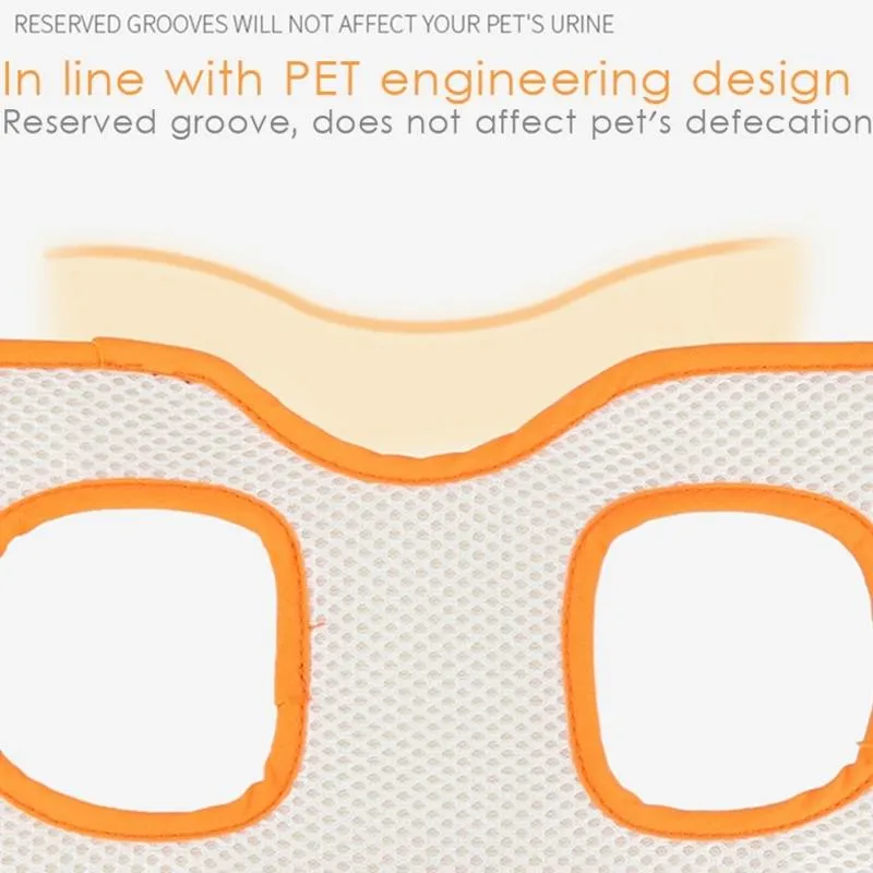 Assistive Pet Leash Belt For Elderly Dogs