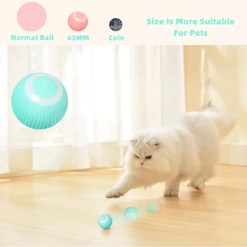 BIG SALESmart Cat Interactive Ball Toys