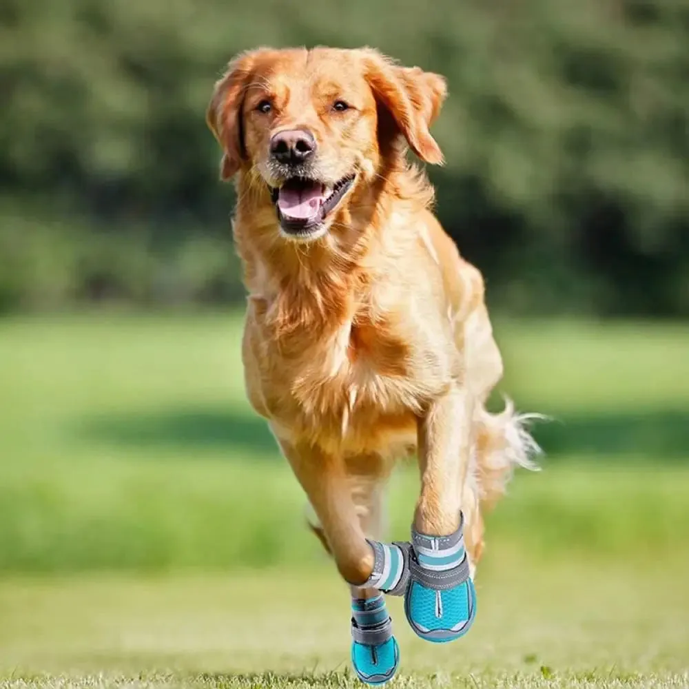 Comfortable Breathable Reflective Adjustable Strap Anti-slip Pet Boots for Medium, Large Dogs