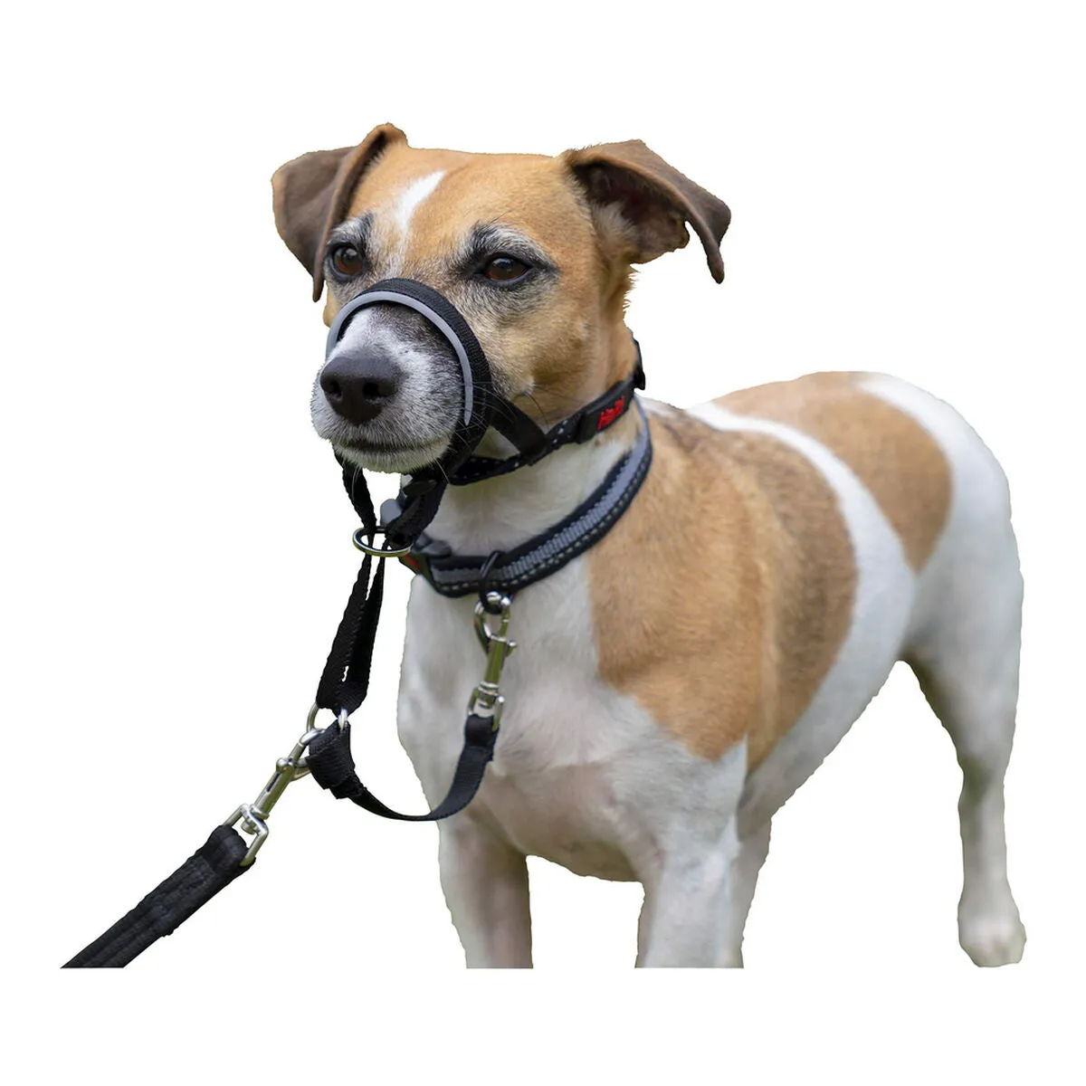 Dog Training Collars by Company of Animals Halti Black Muzzle 3140 Cm
