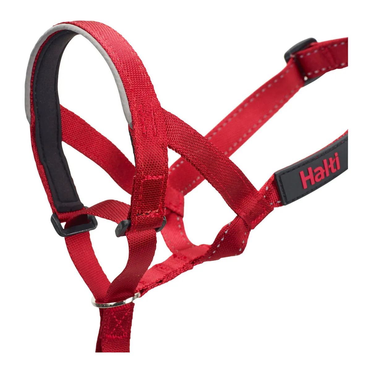 Dog Training Collars by Company of Animals Halti Muzzle 3140 Cm