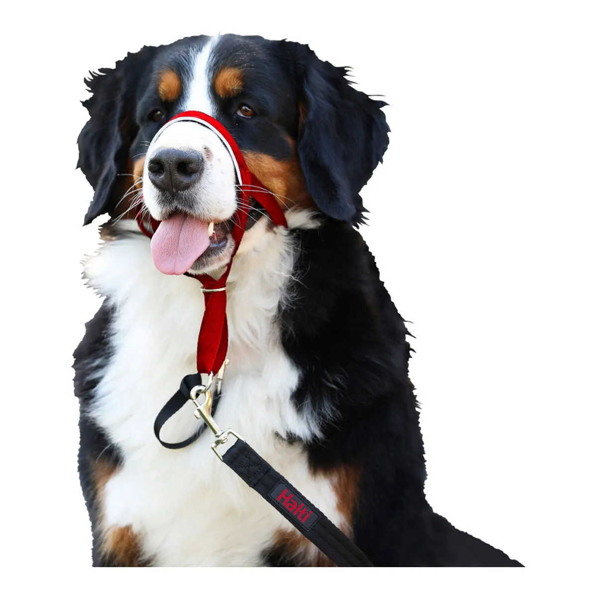 Dog Training Collars by Company of Animals Halti Muzzle 3140 Cm