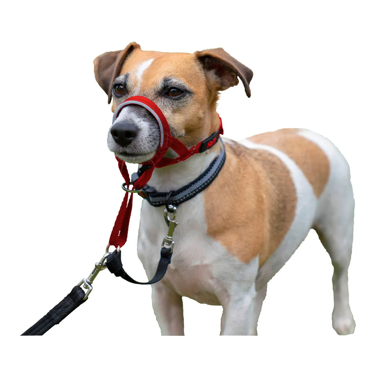 Dog Training Collars by Company of Animals Halti Muzzle 3140 Cm
