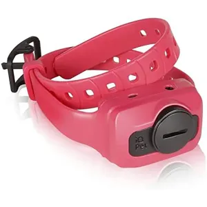 Dogtra IQ Cliq Additional Receiver