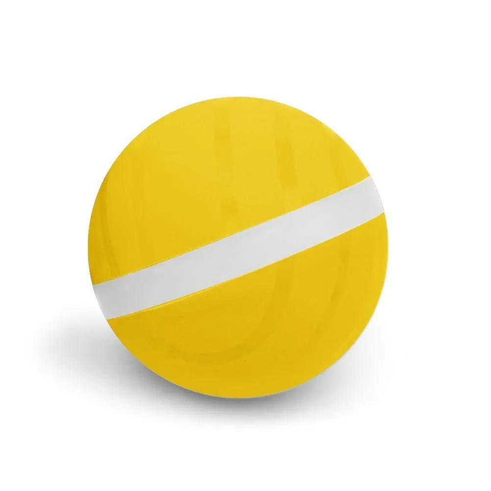 Pet Motion Ball