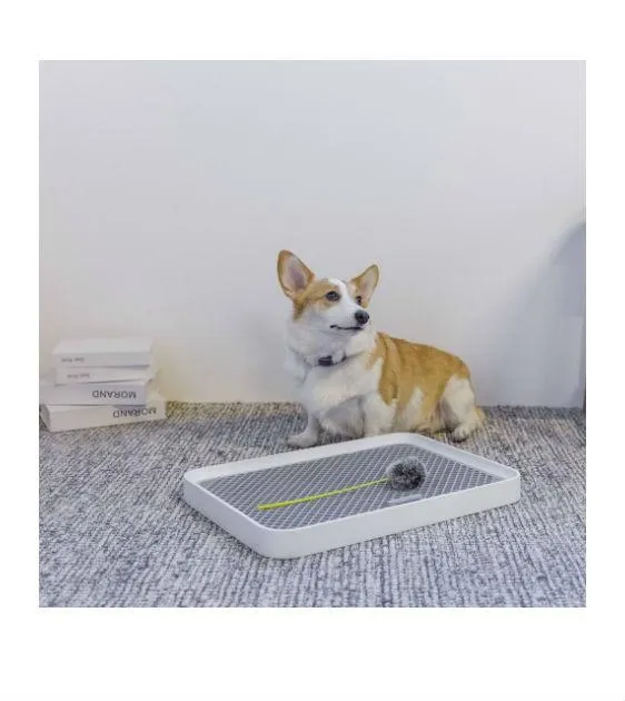 PETKIT PURA Training Pee Tray For Dogs