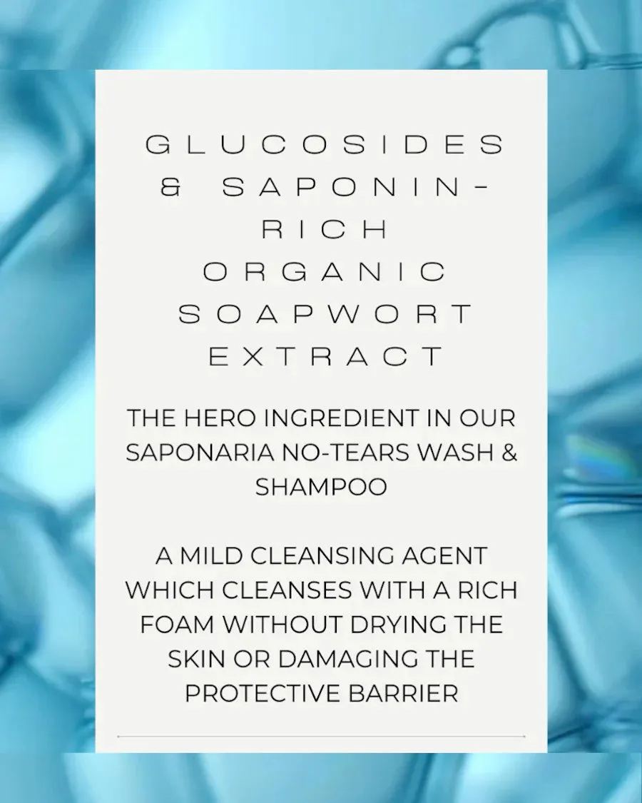 Saponaria No-Tears Wash & Shampoo, Travel Size