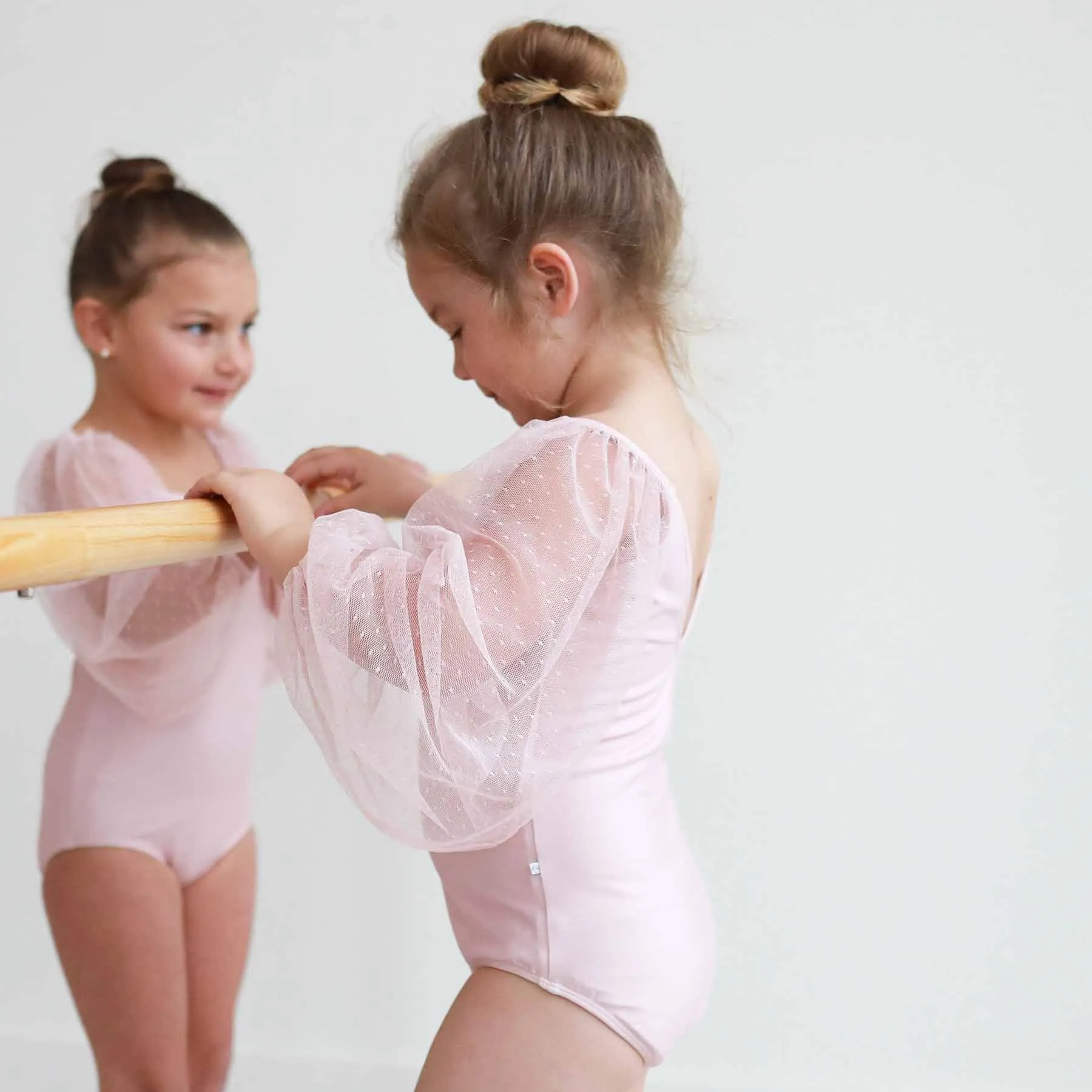 Sheer Long Sleeve Leotard | Mauve